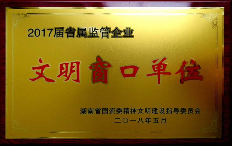 yd2333云顶电子游戏集团养老产业有限公司荣获“省属监管企业文明窗口单位”称号