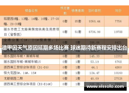 德甲因天气原因延期多场比赛 球迷期待新赛程安排出台